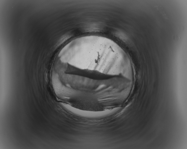 X0000084531209200703231645