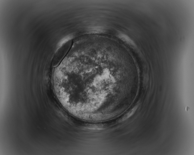 X0000084531210200703231645