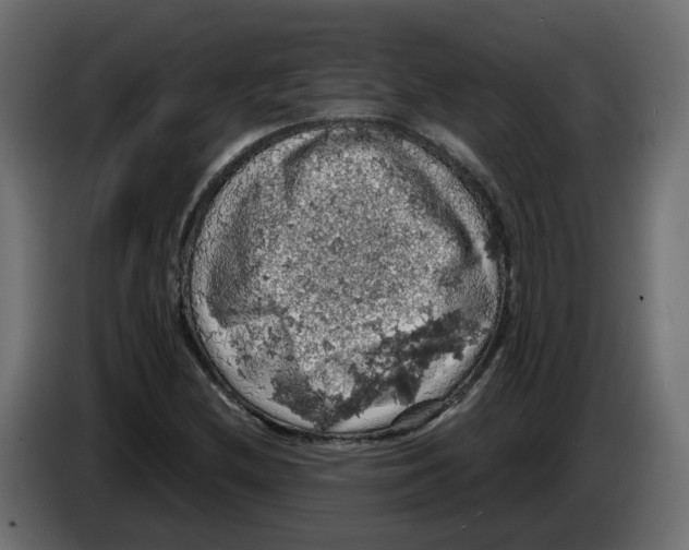X0000084531212200703231645