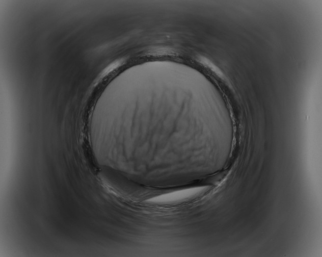 X0000084531213200703231645