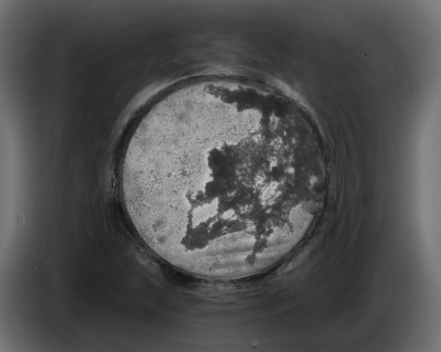 X0000084531215200703231645