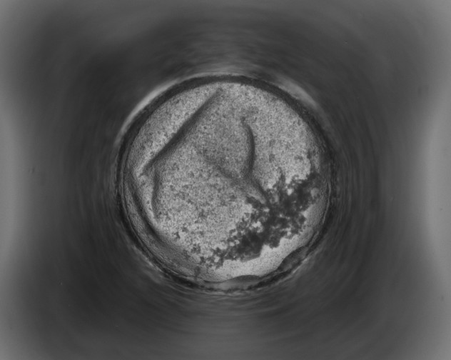 X0000084531216200703231645