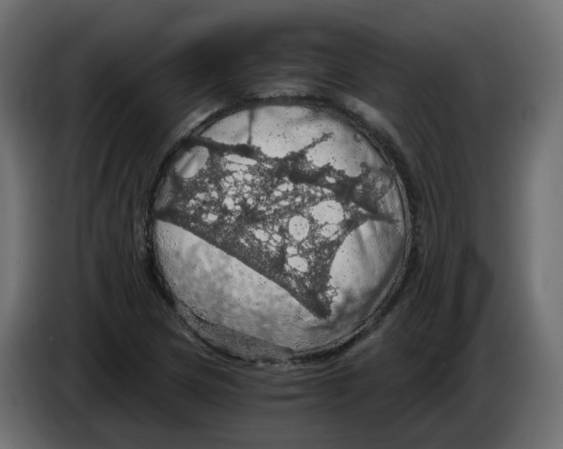 X0000084531217200703231645