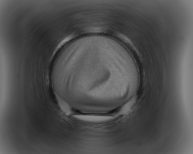 X0000084531218200703231645