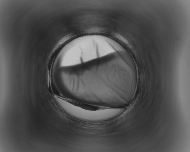 X0000084531219200703231645