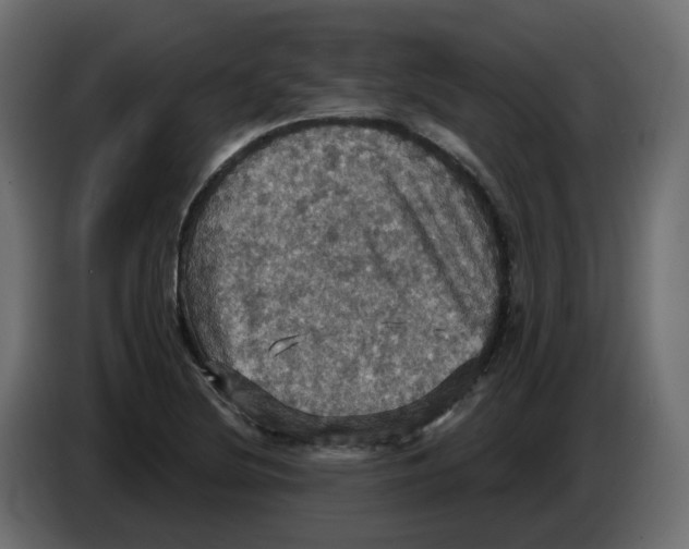 X0000084531220200703231645