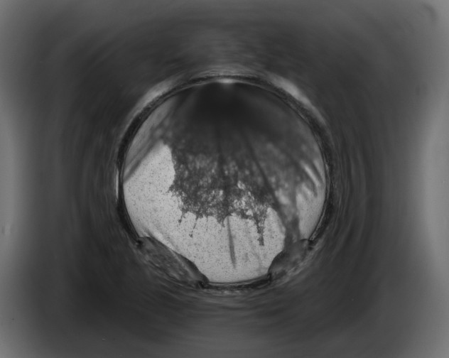 X0000084531221200703231645