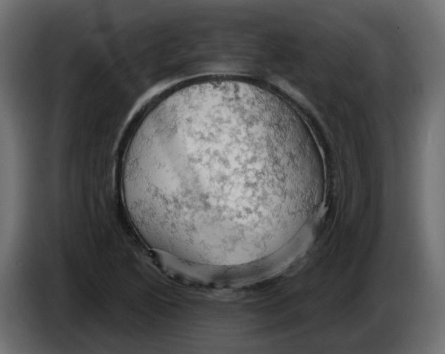 X0000084531222200703231645