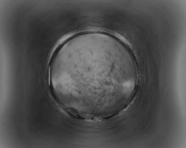 X0000084531223200703231645