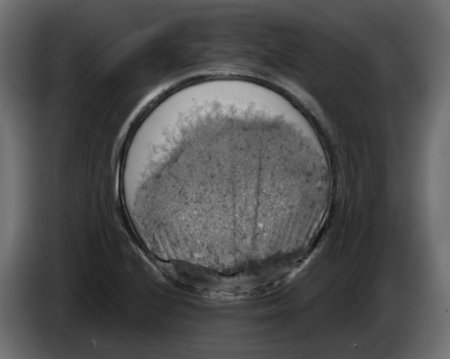 X0000084531224200703231645