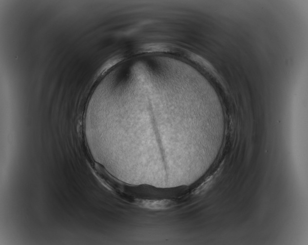 X0000084531225200703231645