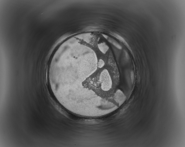 X0000084531227200703231645