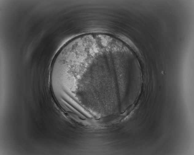 X0000084531228200703231645