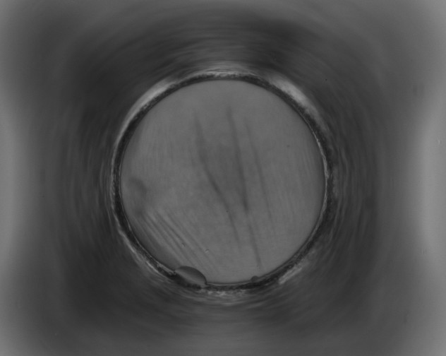 X0000084531229200703231645