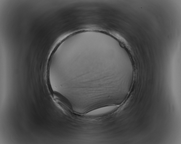 X0000084531231200703231645