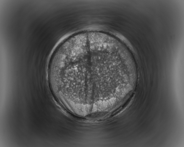 X0000084531232200703231645