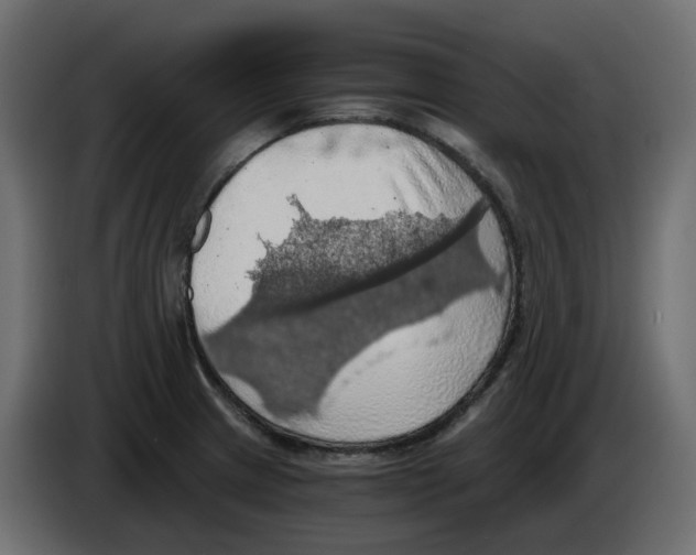 X0000084531233200703231645