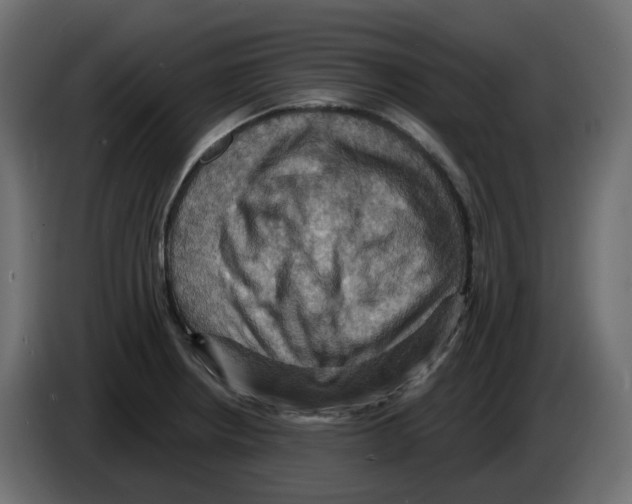 X0000084531234200703231645
