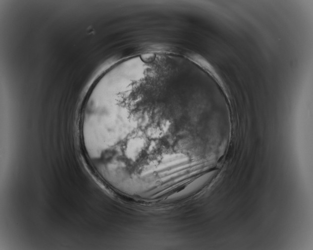 X0000084531235200703231645