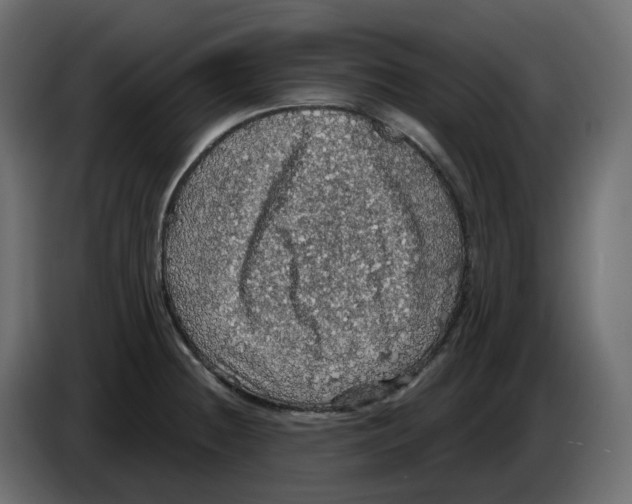 X0000084531236200703231645