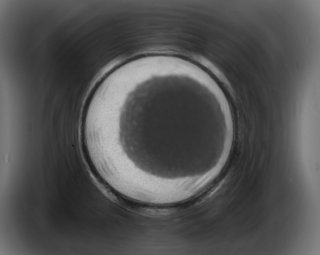 X0000084531237200703231645