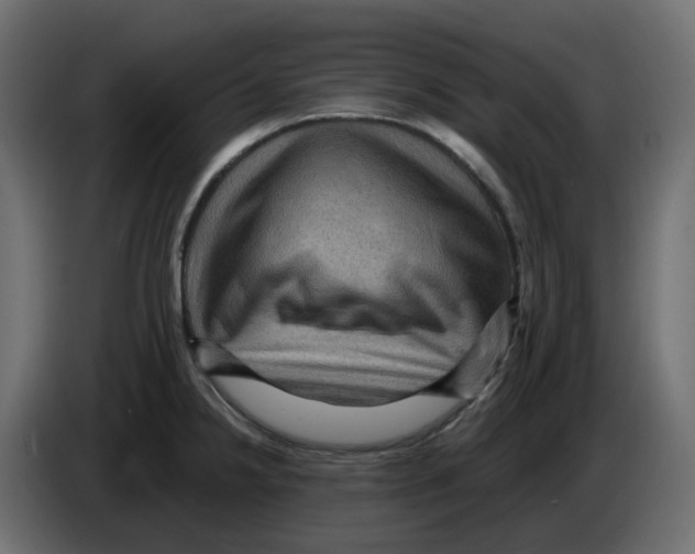 X0000084531238200703231645
