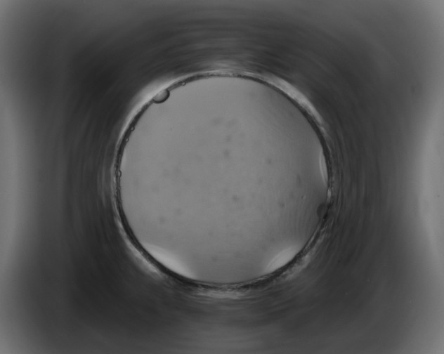 X0000084531239200703231645