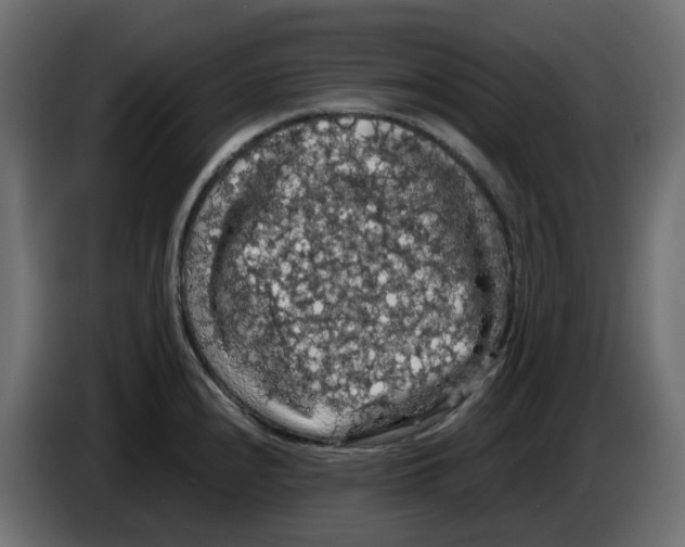 X0000084531240200703231645