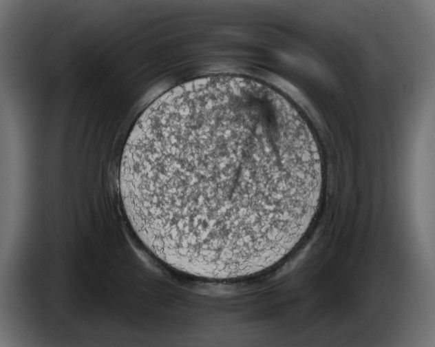 X0000084531241200703231645