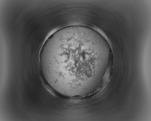 X0000084531242200703231645