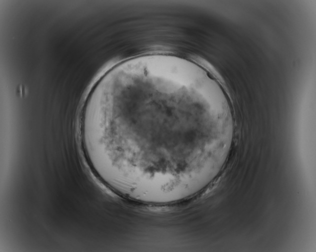 X0000084531243200703231645