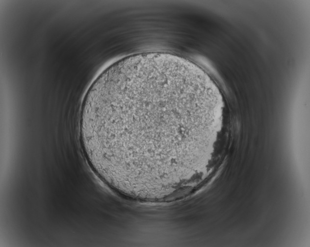X0000084531244200703231645