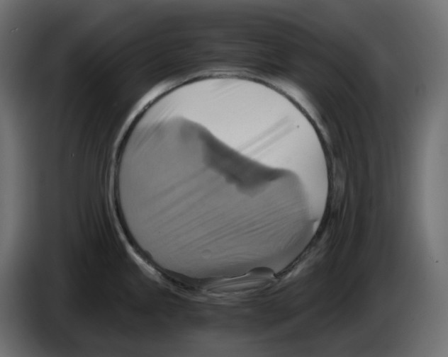 X0000084531245200703231645
