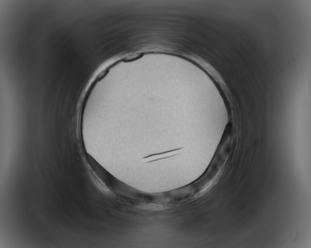 X0000084531246200703231645