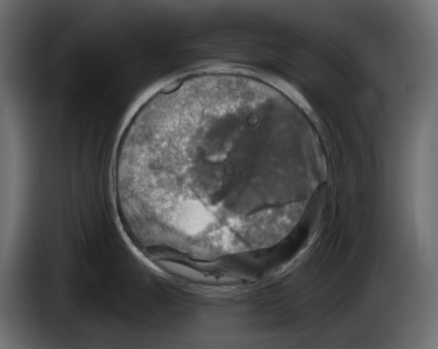 X0000084531247200703231645