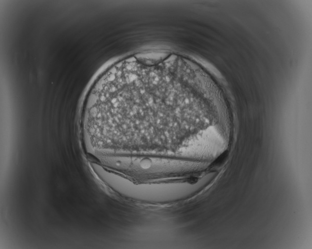 X0000084531248200703231645