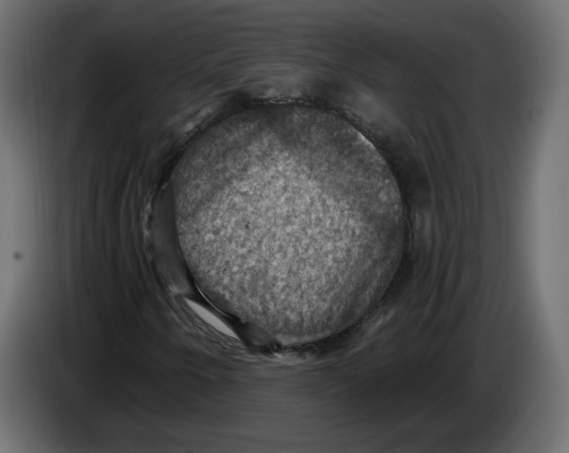X0000084531250200703231645