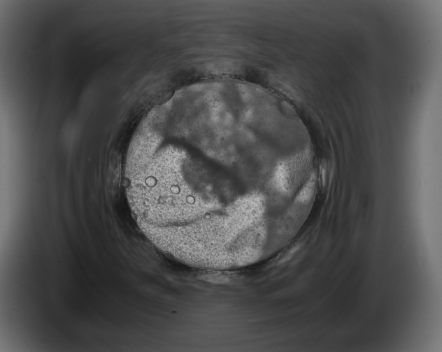 X0000084531251200703231645