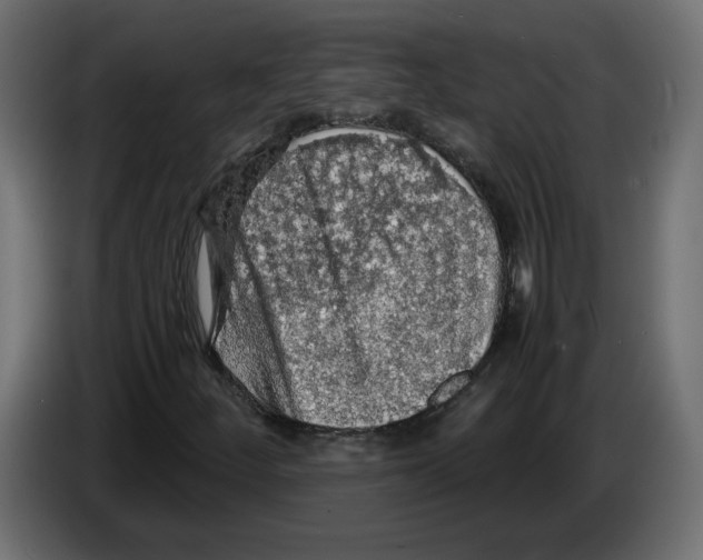 X0000084531252200703231645