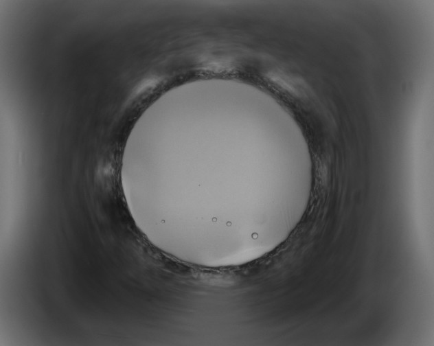X0000084531254200703231645