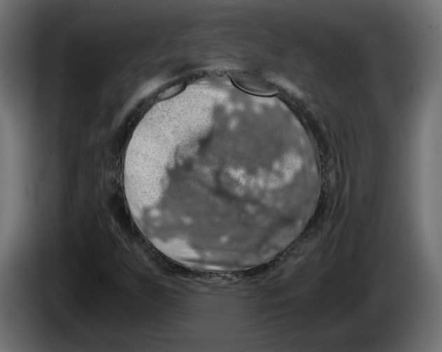 X0000084531255200703231645