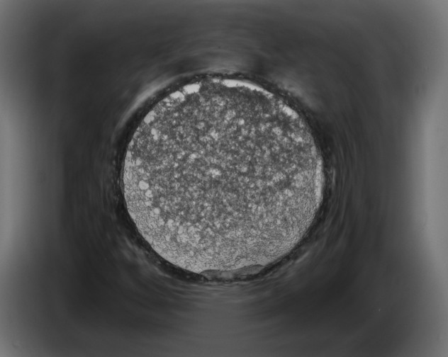 X0000084531256200703231645
