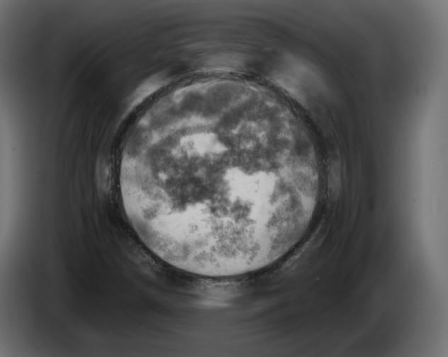 X0000084531258200703231645