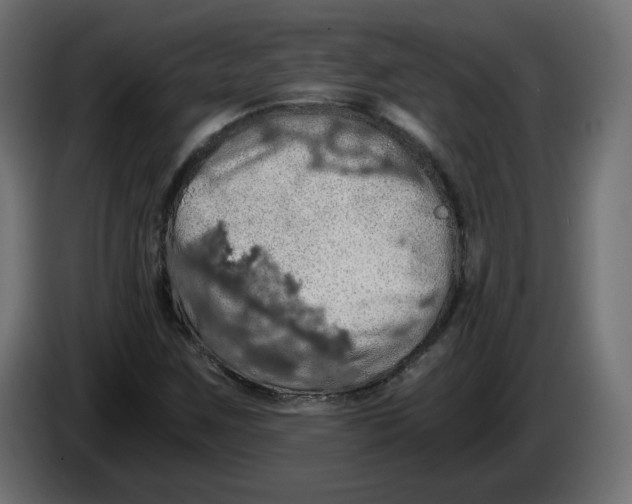 X0000084531259200703231645