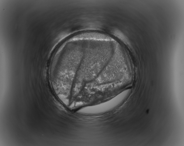 X0000084531260200703231645