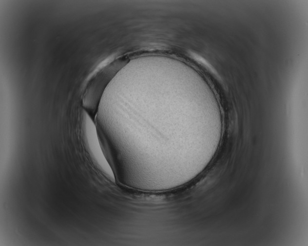 X0000084531261200703231645
