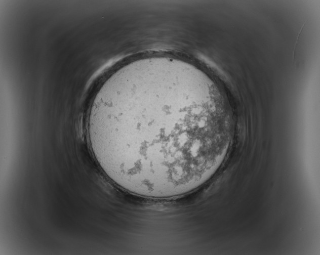 X0000084531262200703231645