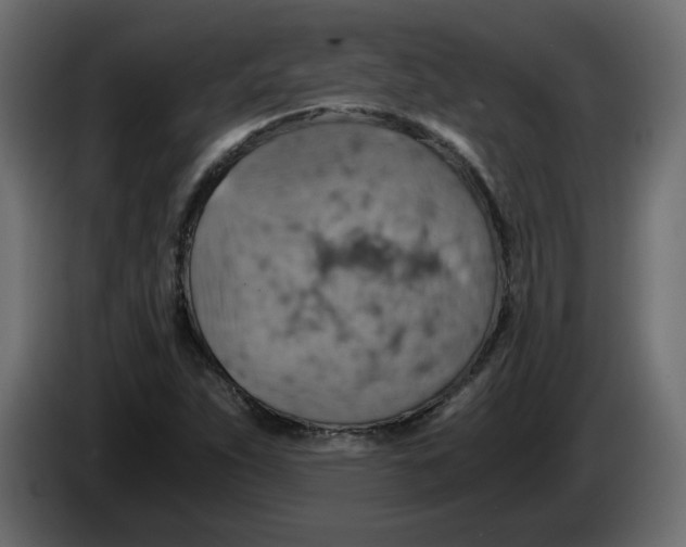 X0000084531263200703231645