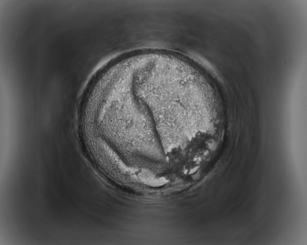 X0000084531264200703231645