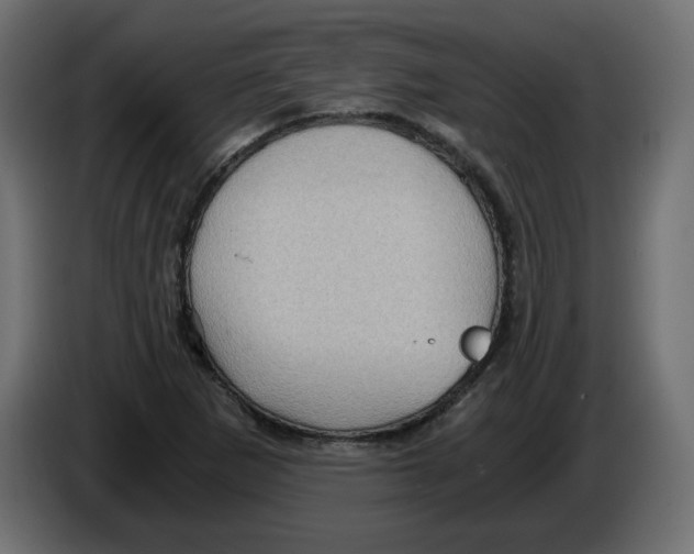 X0000084531265200703231645